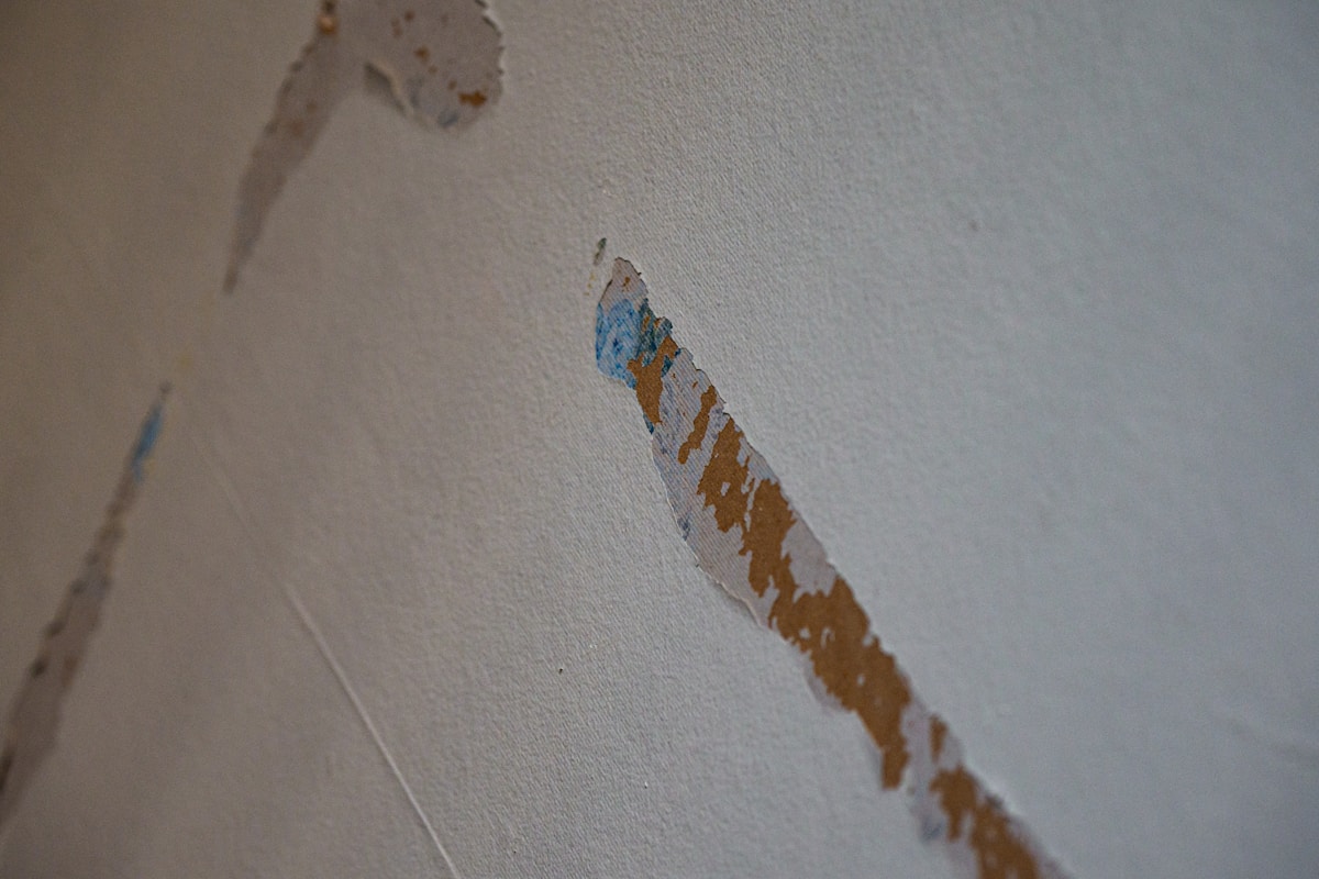 Structural Drying service in Leander, TX